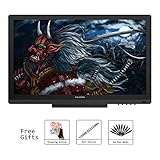 Huion KAMVAS GT-191 Drawing Tablets with IPS Screen 19.5 Inch...