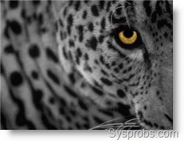 mac os x leopard on vmware player