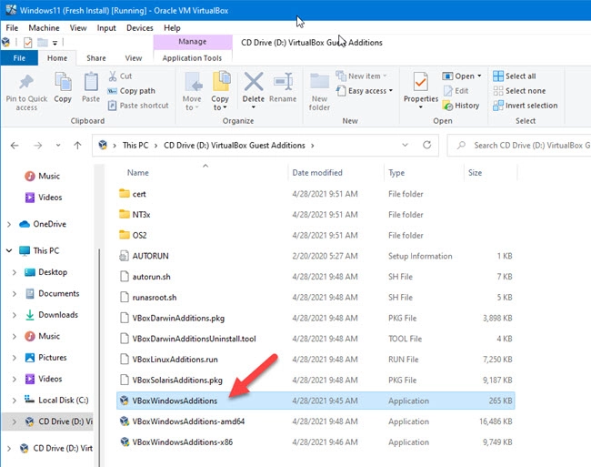 VB Guest Additions Exe File