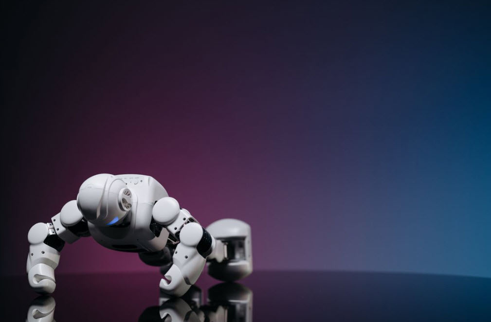 AI Training