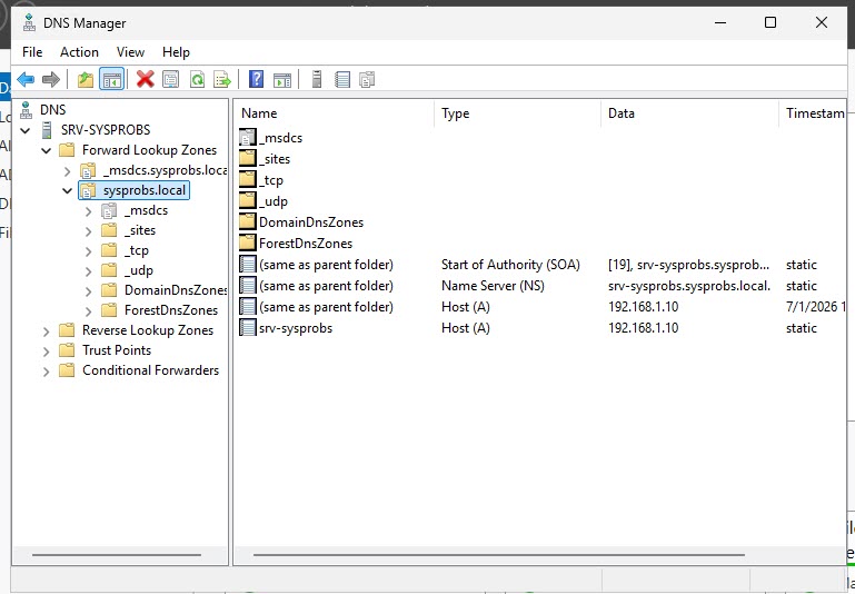 DNS Zones